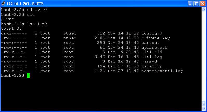 vnc server gnome-session xstartup script