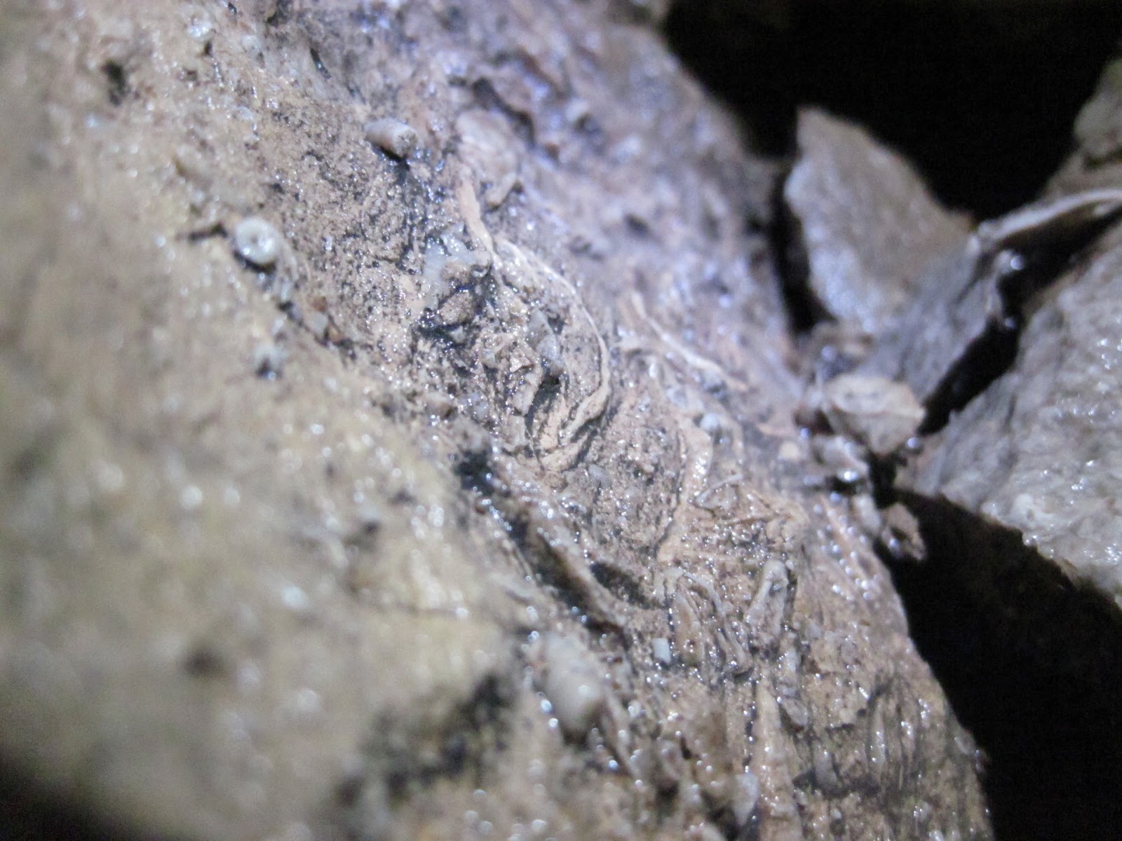 Life at the end of a rope: Jugholes (or somewhere that isn't stoney!)