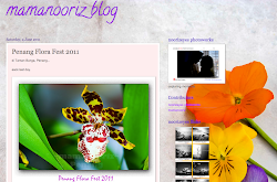 mamanooriz blog