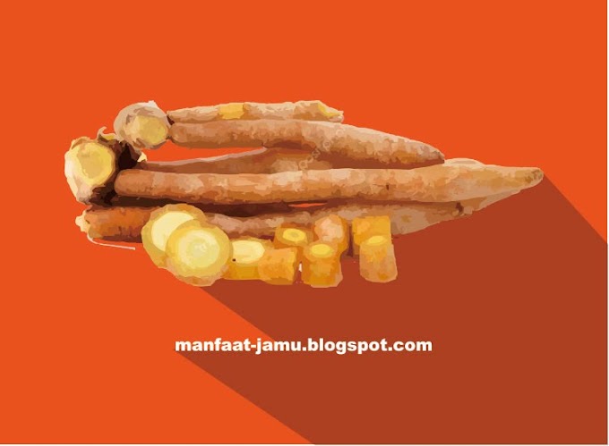 Manfaat Khasiat Jamu