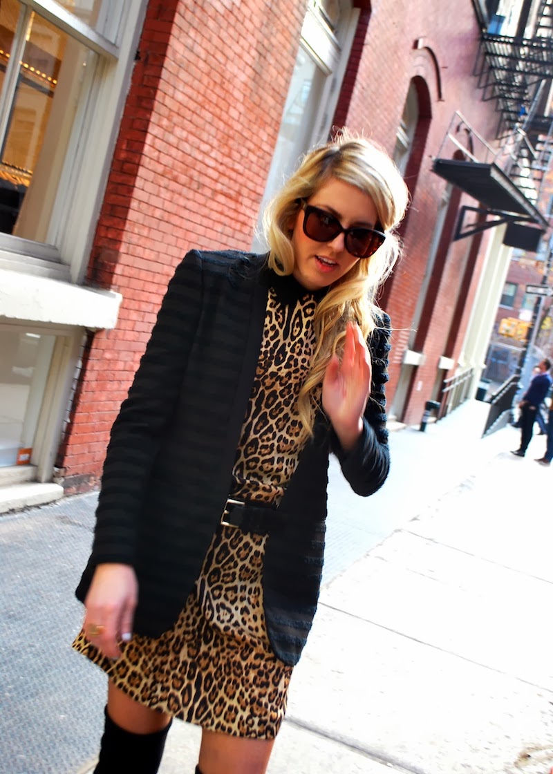 Claire Crisp: Outfit Post: Leopard Lady.
