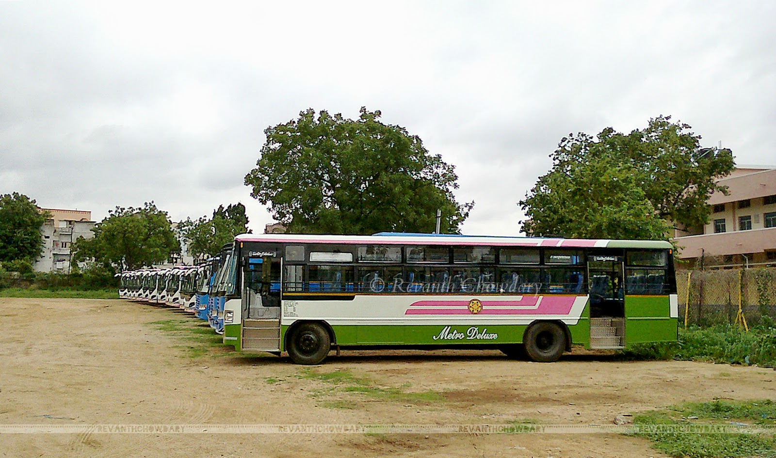 LOVE of Z Color Politics