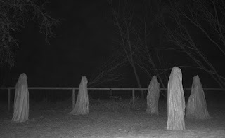 Imagen antigua de terror de fantasmas