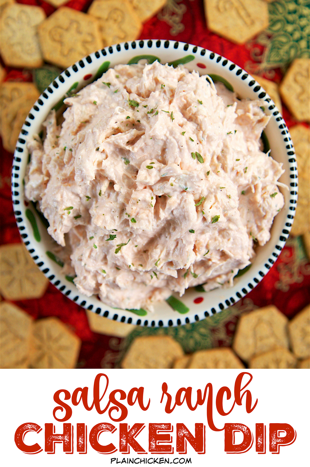 Salsa Ranch Chicken Dip Plain Chicken®