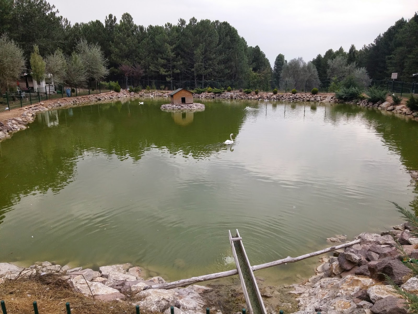 mahfi ruz un gezileri yesil vadi