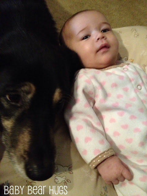 dog with baby girl