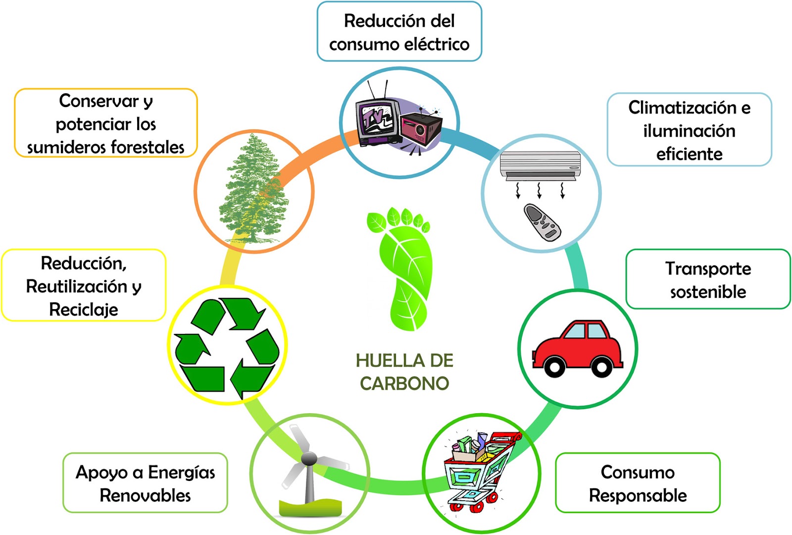 HUELLA ECOLÓGICA : ¿Cómo se mide?