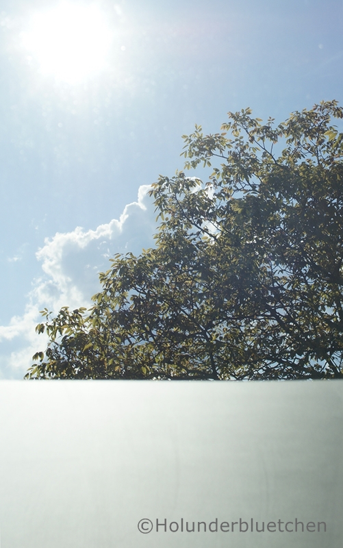 Holunderbluetchen: Mai 2013