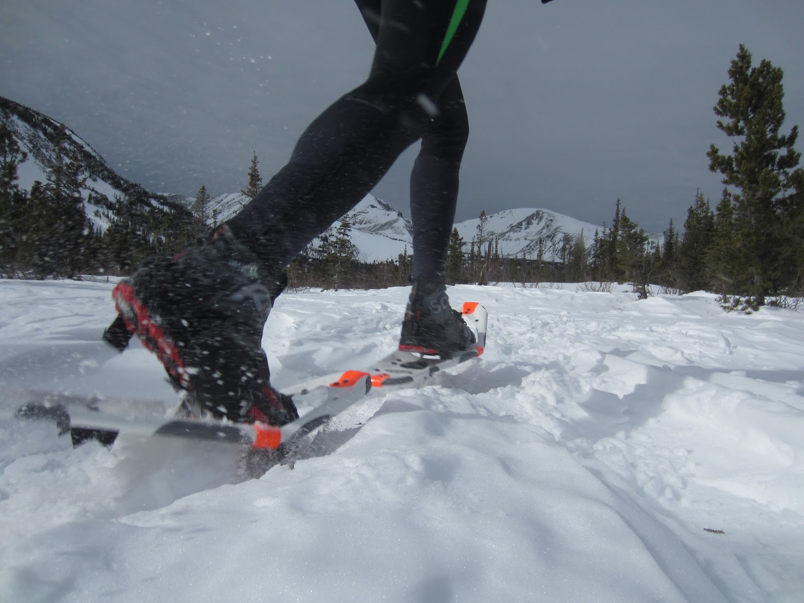 Road Trail Run Dion 121 Race Snowshoes Review The Ultimate in