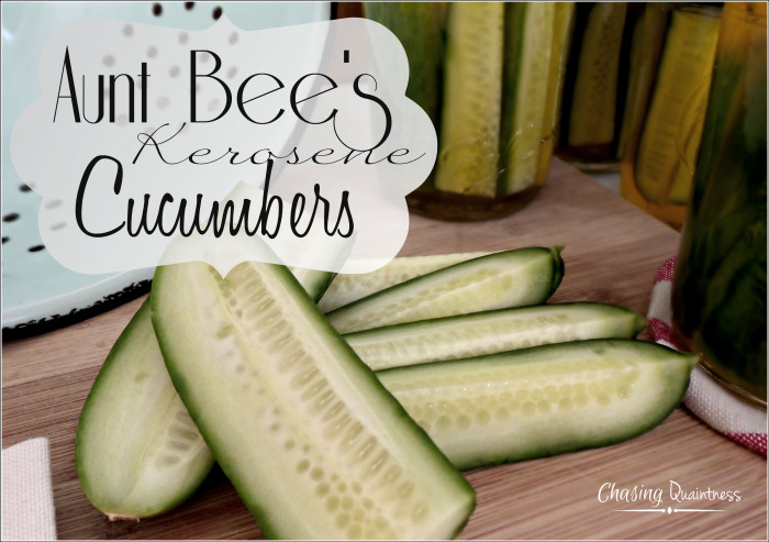 KEROSENE CUCUMBER PICKLE UPDATE visual data 3