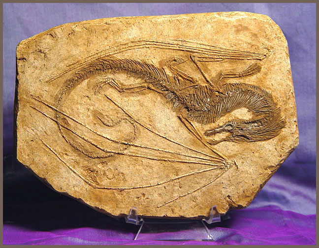 Propnomicon: Fossilized Dragon