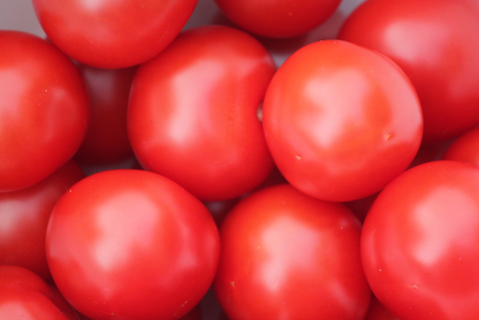 Kitchen Lores: Slow-Roasted Campari Tomatoes