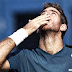 Tenis | Del Potro venció a Dimitrov y en cuartos de final enfrentará a Federer