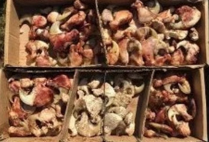 이미지에 대체텍스트 속성이 없습니다; 파일명은 n27hzaubz04jt61xt884.jpg 입니다.