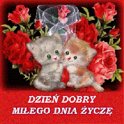 Dzień Dobry Animowane Kartki Na Dzień Dobry Koty