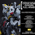 Custom Build: MG 1/100 Full Armor Crossbone Gundam