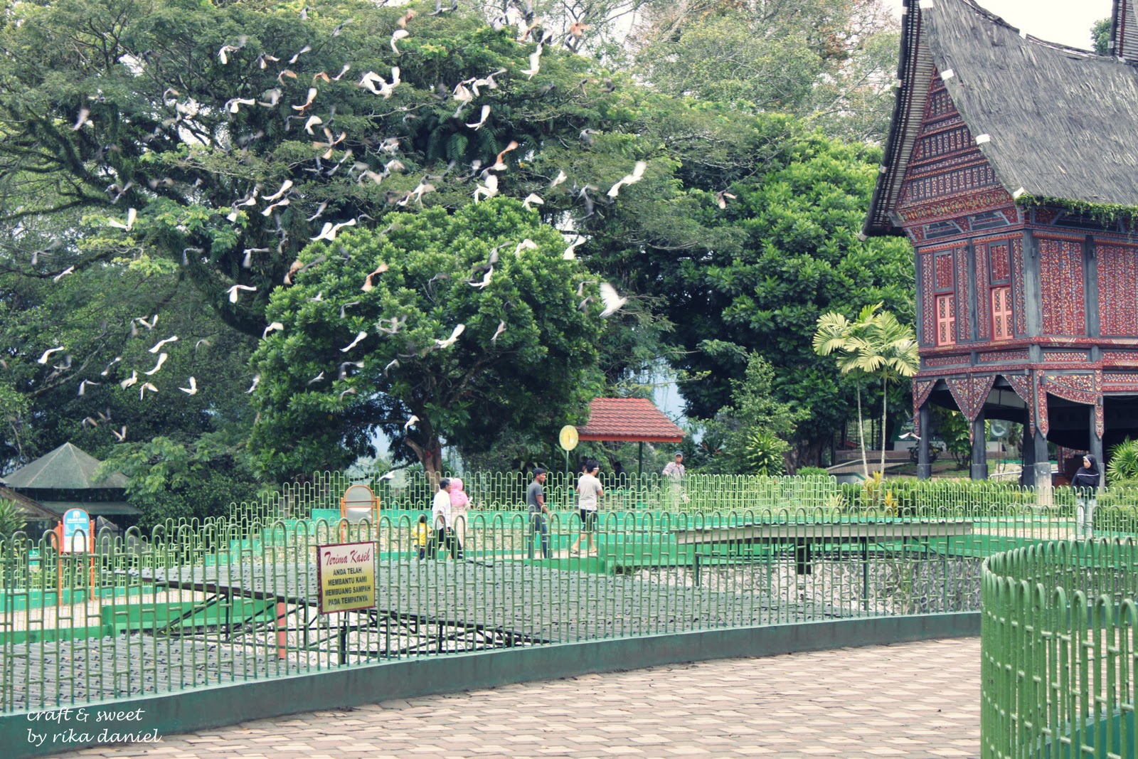 Fauna Babi Rusa Hanya Dapat Kita Jumpai Di