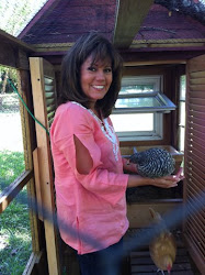 chicken coop rv scrap wood julie miles chickens