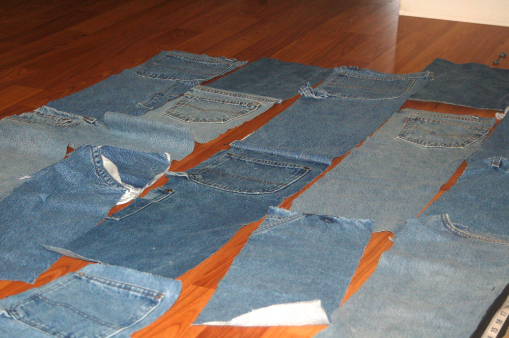Stitchnquilt Blue Jeans Quilt