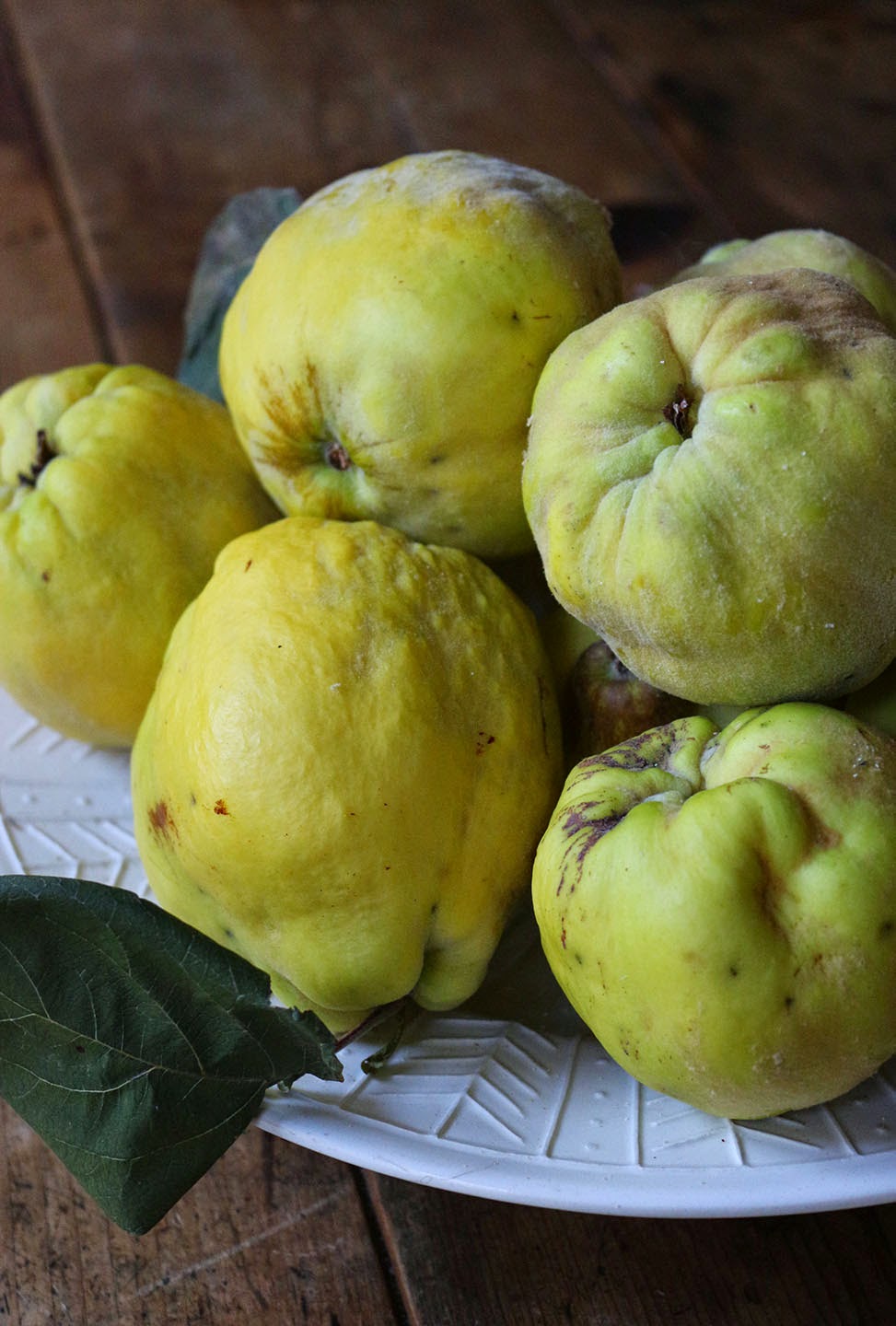 66 Square Feet (Plus) Garden quinces