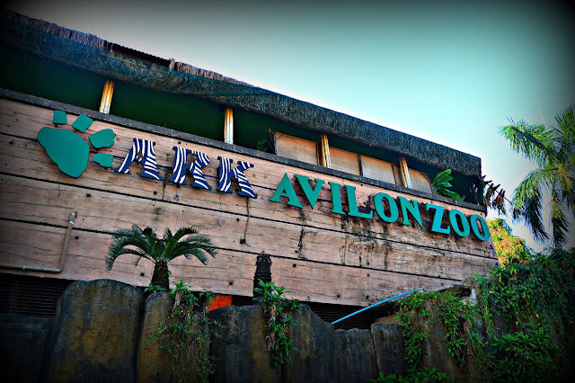 Ark Avilon Zoo - Pasig City The Ark