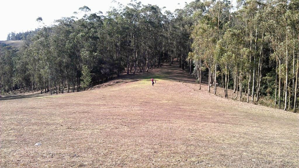 Top 10 Places to Travel in India Where Your Favorite Movie were Filmed