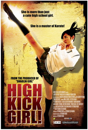 High Kick Girl 2009 Hindi Dubbed BRRip 480p 250mb