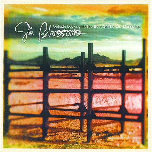 Never Turning Back Gin Blossoms / Outside Looking In The Best Of Gin