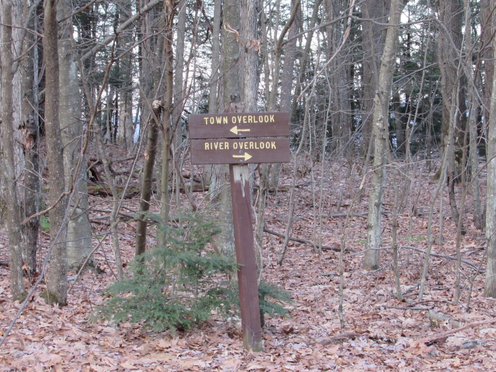 Tidioute Overlook Allegheny National Forest, Warren County
