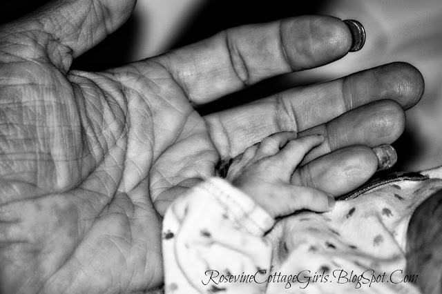 Trisomy 13 | Infant preemies hand holding his grandmas finger | rosevinecottagegirls.com