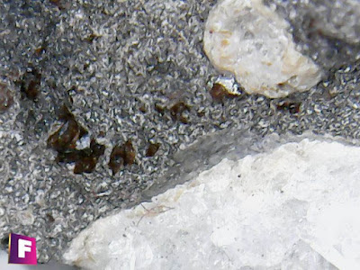 chabasita-saponita-minerales-bajo-el-microscopio