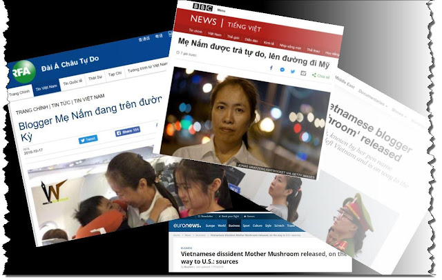 Mẹ Nấm được tự do