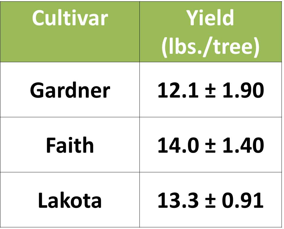 Northern Pecans Yields from a young pecan orchard