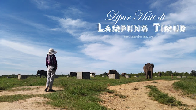 wisata way kambas lampung timur