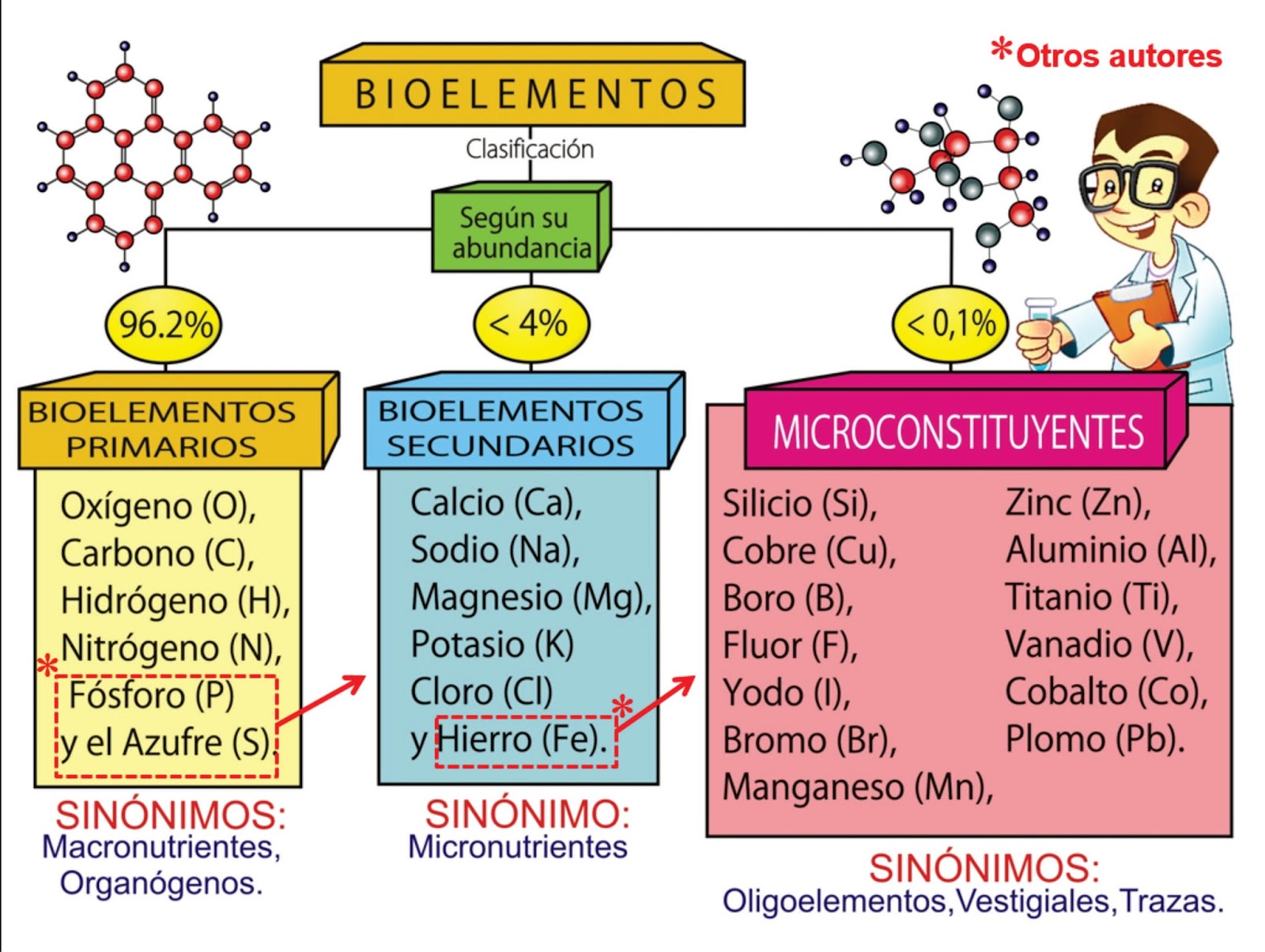 Que Son Los Bioelementos Y Su Clasificacion Resumen 2022 Images