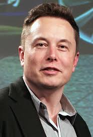 Do You Really Think Elon Musk Is Stupid Smart Money Seed
