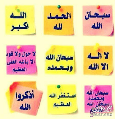3dlat.com_13968843101