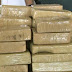 Ocupan alijo US$13 millones en bote procedente de RD