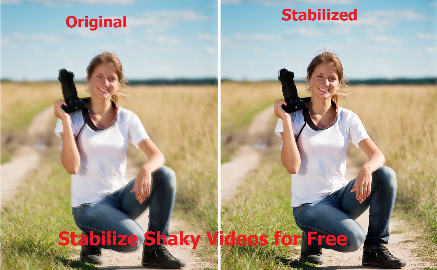 Learn New Things How to Stabilize Shaky Videos Free & Easy