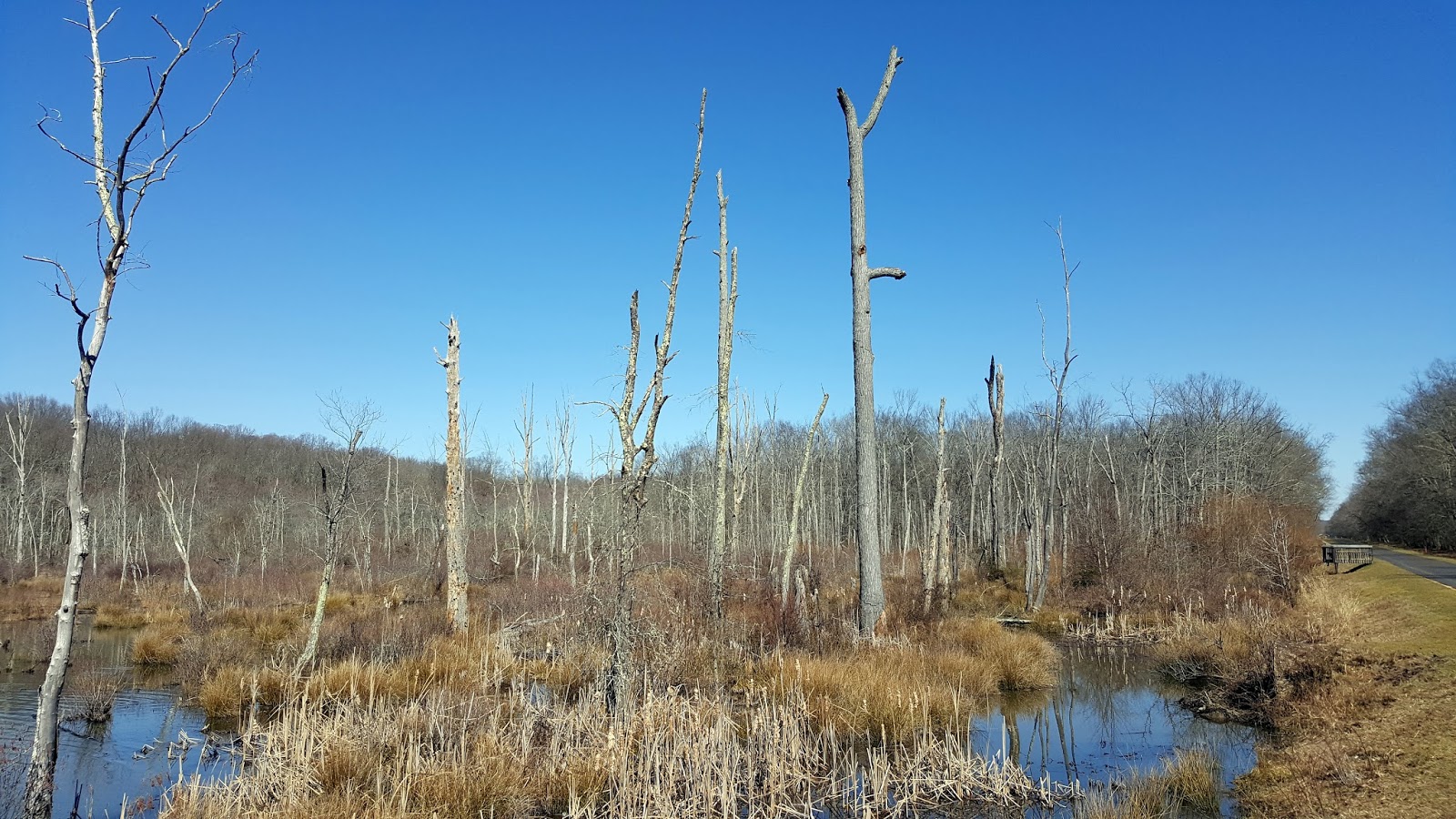 Ben's Journal Indian Head Rail Trail 26 miles of prime bike riding