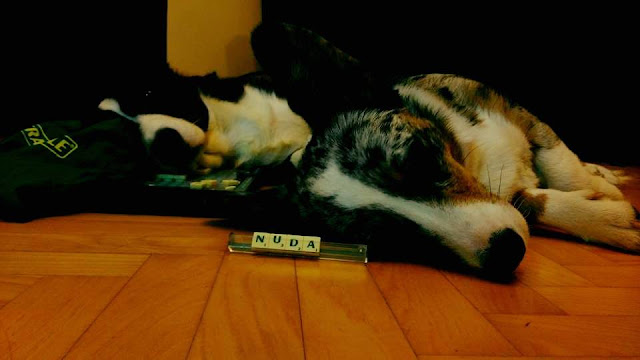 zwidokiemnagory.pl scrabble, zimowy wieczór, wieczór we dwoje