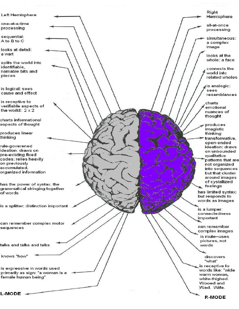 Brain Jack Image Brain Function Chart Brain Jack Image Brain Function Chart