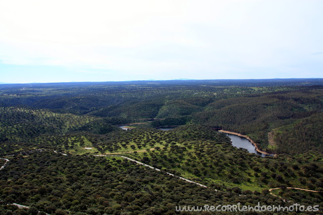 Dehesa extremeña desde Castillo de Monfragüe