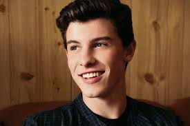 Lirik Lagu Shawn Mendes - Stitches - Kumpulan Lirik Lagu Terpopuler