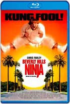 Un ninja en Beverly Hills (1997) HD 720p Latino 