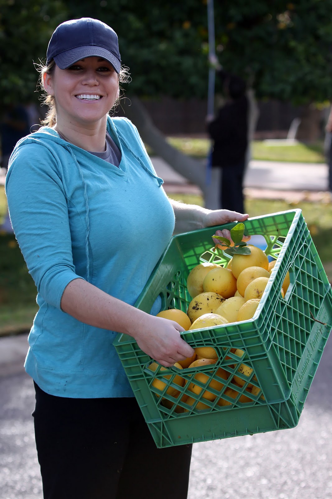 Hunger 101 AZ St. Mary’s Food Bank Needs Your Citrus Donations this