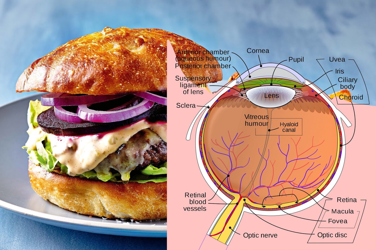how to improve eyesight naturally how to improve eyesight naturally