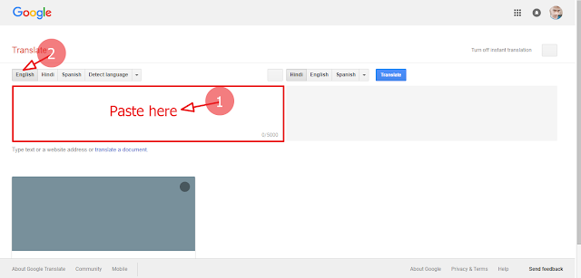 translate google homepage anybuddyhelp
