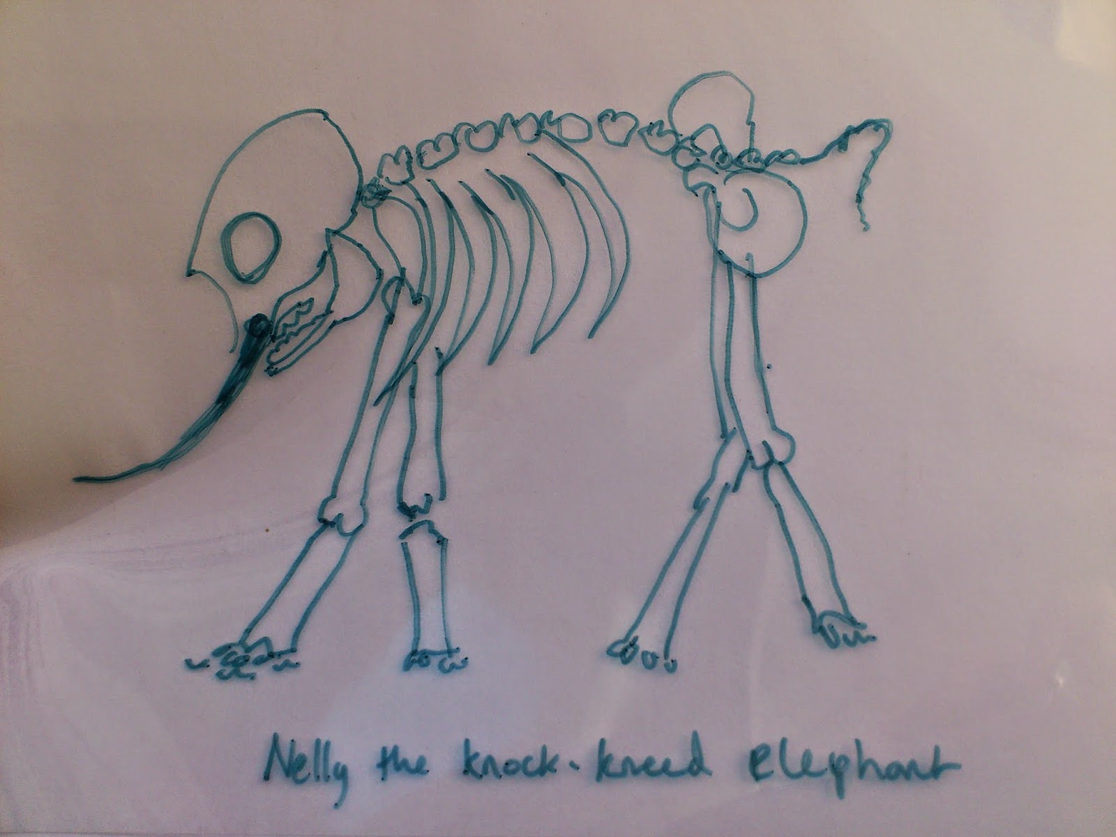 All Write How to give an elephant an Xray