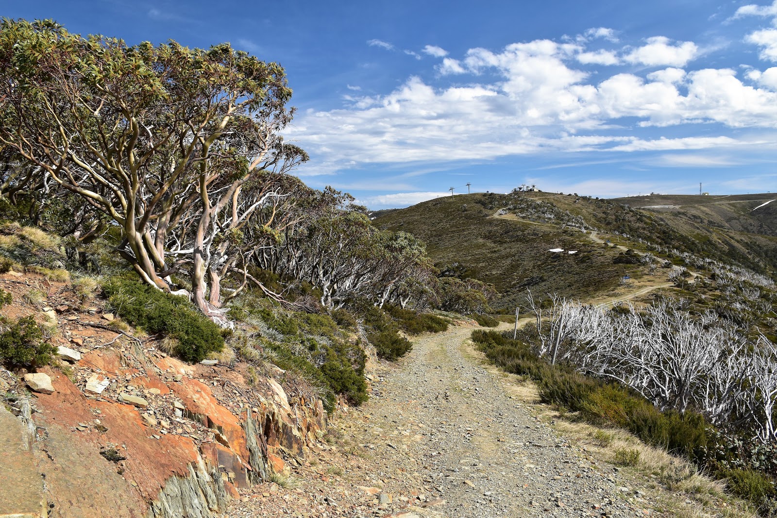 Goin' Feral One Day At A Time Mount Loch Circuit, Alpine National Park